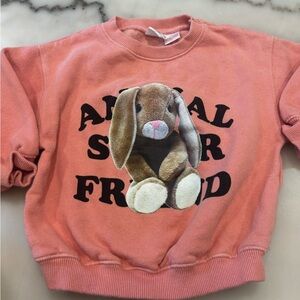 Zara Pink Sweatshirt with Bunny Graphic
